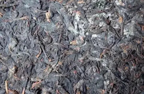 普洱茶泡了之后有霉味怎么辦？