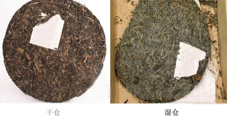 普洱茶怎么分辨干濕倉(cāng)？
