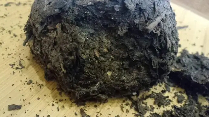 普洱茶蟲子怎么辦？