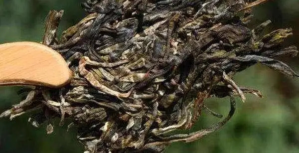 不同普洱茶生產(chǎn)地味道有哪些不同，不同派別的普洱茶味道又如何?