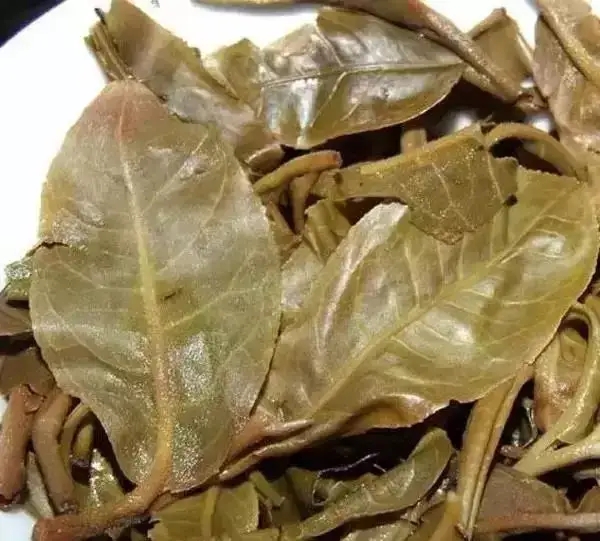 怎么看古樹(shù)普洱茶葉底？
