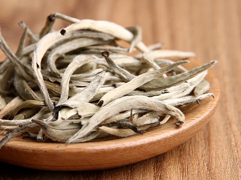 福鼎白茶、安吉白茶、云南月光白“三白”的區(qū)別