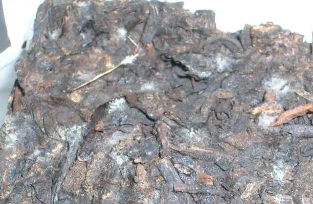 ?普洱茶發(fā)霉了怎么辦？教你妙招應(yīng)對發(fā)霉的普洱茶！