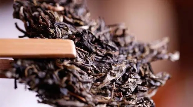 普洱生茶好還是普洱熟茶好喝？如何挑選適合自己的普洱茶？