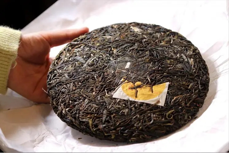 犀牛塘 | 古韻留香，帕沙之王