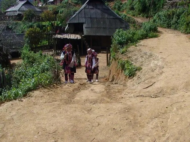 2022年的春天，古樹味道從犀牛塘開始！