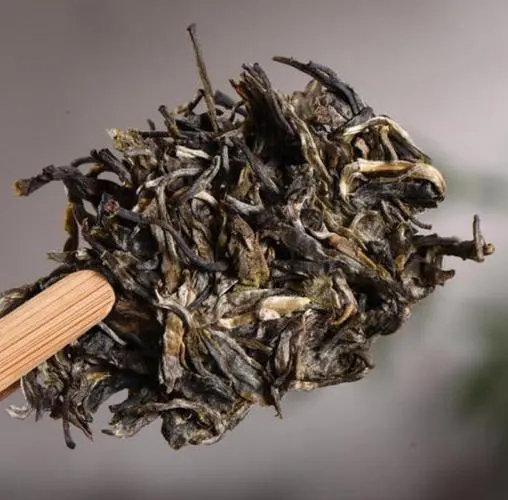 茶無貴賤！這些不知名的山頭，其實也產優(yōu)質普洱茶！