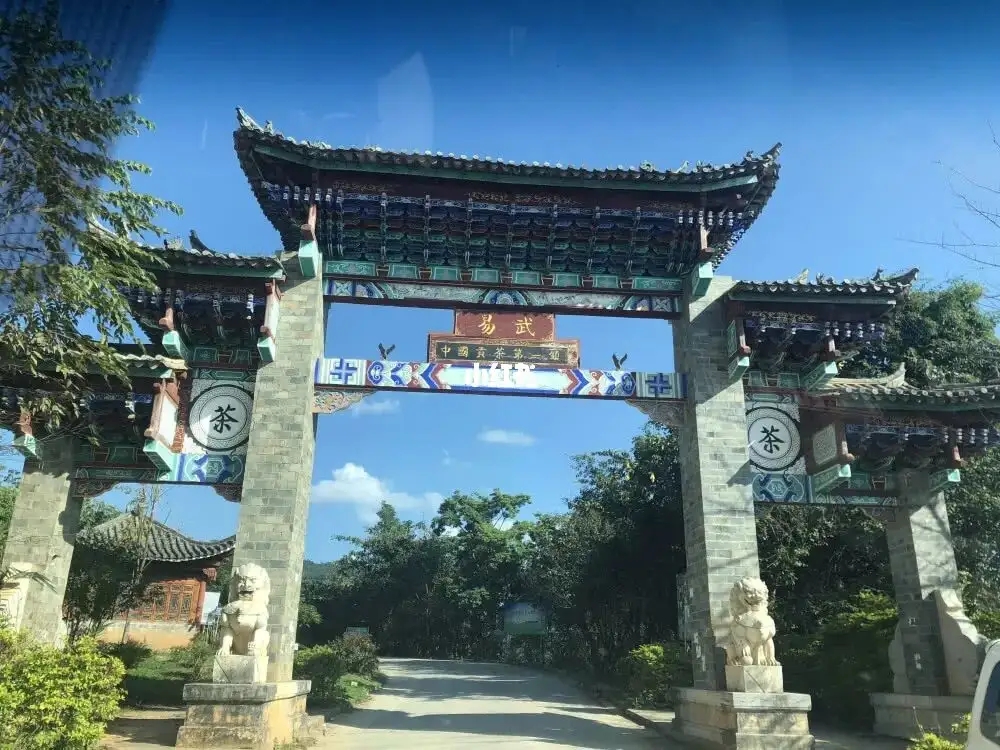 古樹茶年份越老，茶葉就越好嗎？影響茶葉品質(zhì)的因素有哪些？