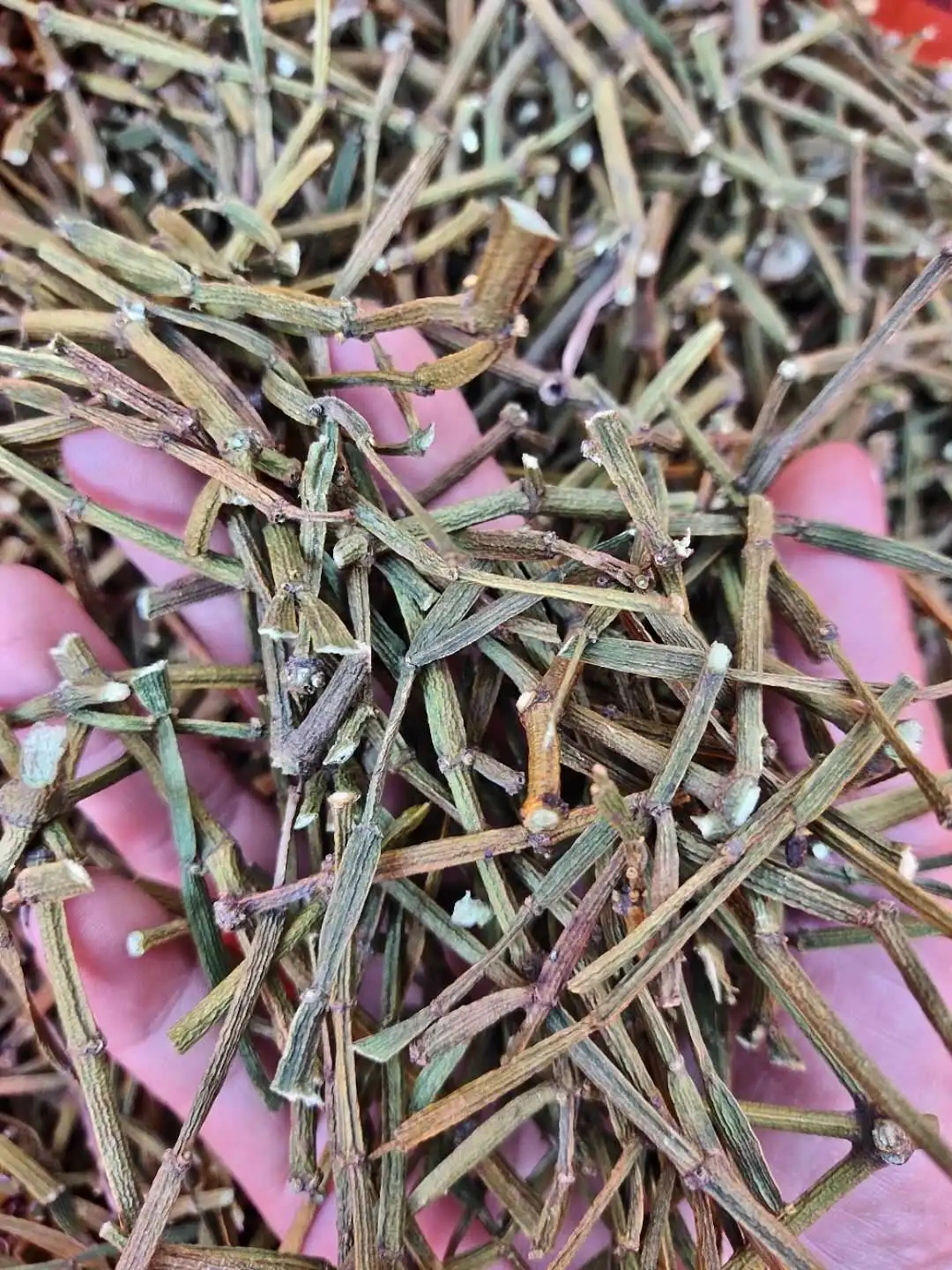 干貨 | 什么是茶界的螃蟹腳？