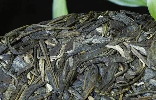 喝普洱茶，一定要喝老茶嗎？