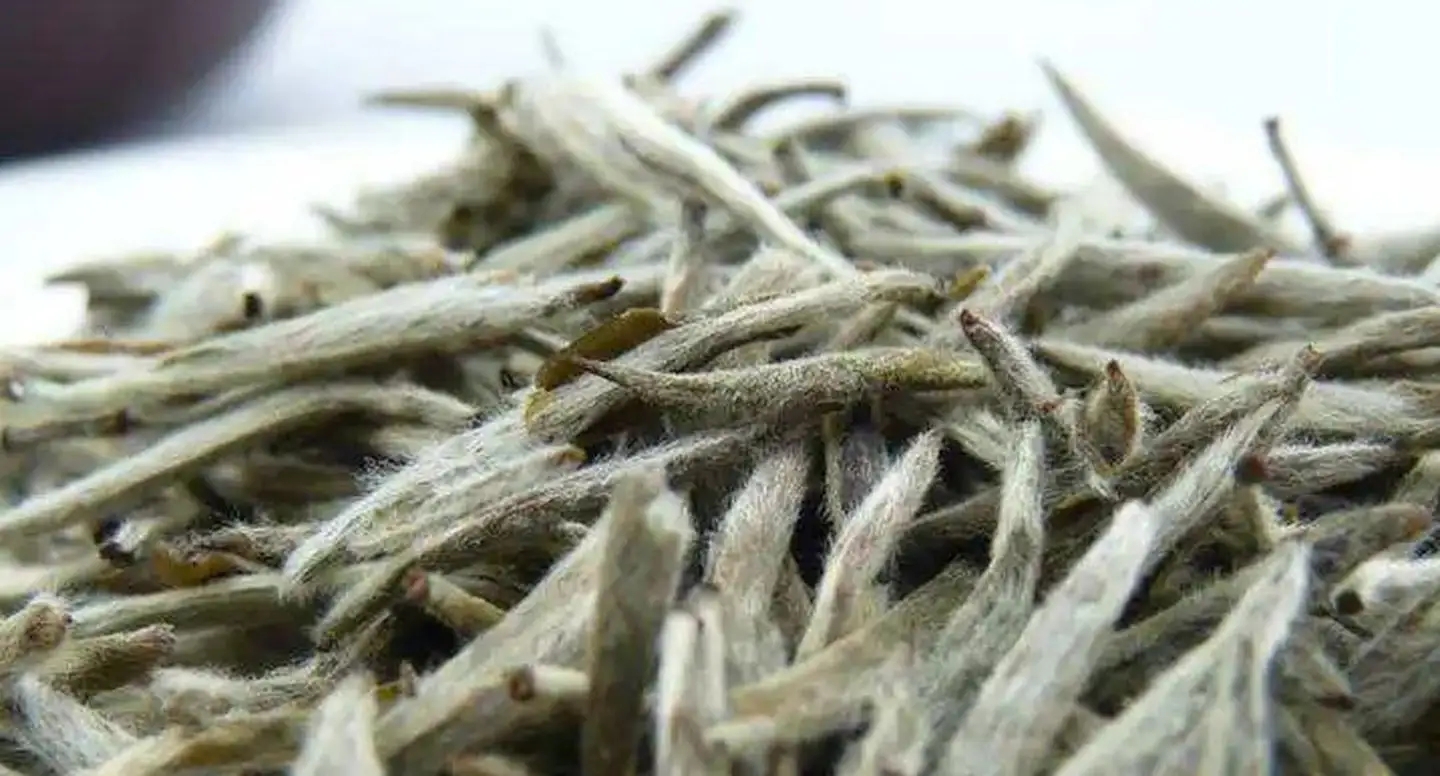茶毫越多的茶，品質(zhì)就越高嗎？