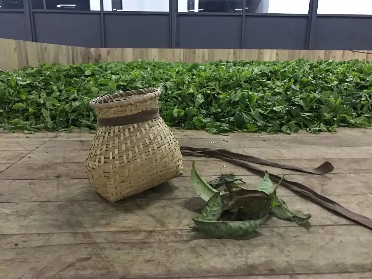 普洱茶，如果不談山頭，我們談什么？