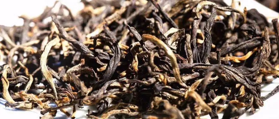 什么是茶氣？茶氣強勁又是一種怎樣的體驗？