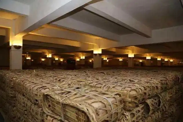 云南古樹普洱茶好在哪？相比小樹茶、臺地茶有何不同？