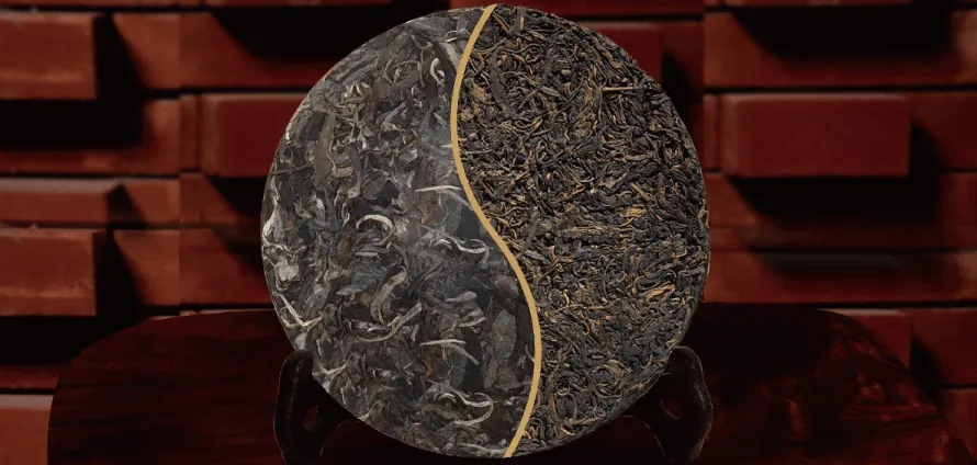 一入普門深似海？入普洱門前，你需要了解這些