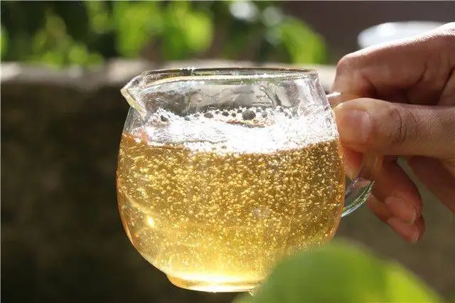 茶顏觀色”，看普洱茶條索里都蘊(yùn)含著怎樣的“密碼”？