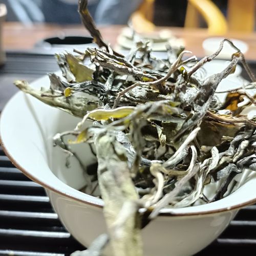 走進(jìn)臨滄勐庫茶區(qū)