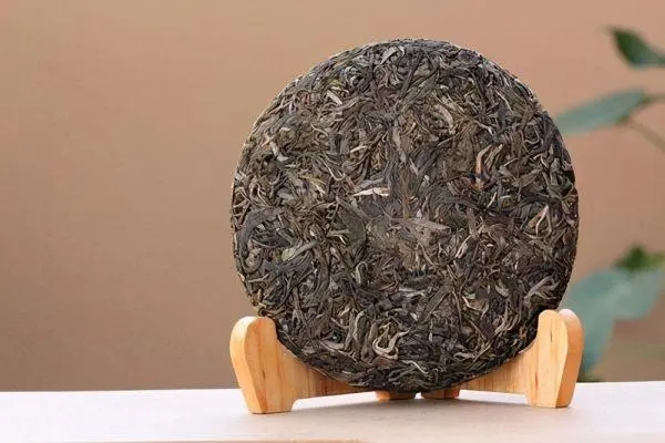 普洱茶入門首要問題，弄清楚，才能喝好茶