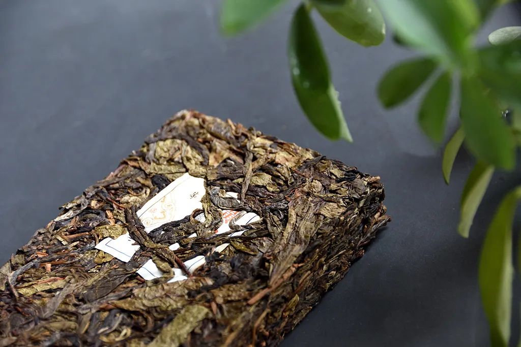 普洱茶古樹黃片，性價(jià)比超高的口糧茶，有骨有肉香甜順