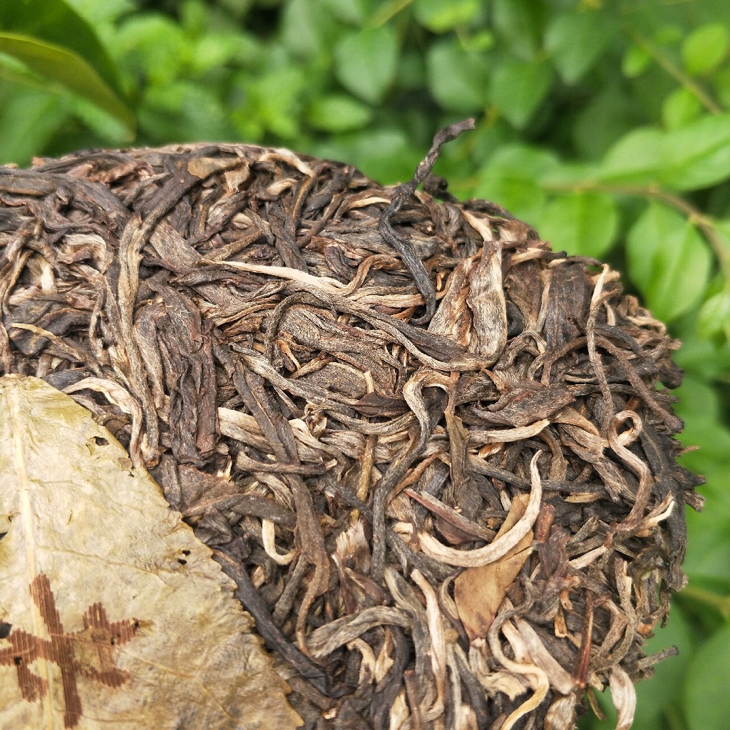 2023年班盆古樹(shù)春茶多少錢(qián)一公斤？