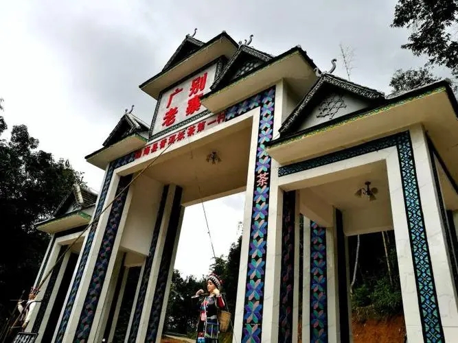 2023年廣別老寨古樹(shù)春茶品質(zhì)如何？