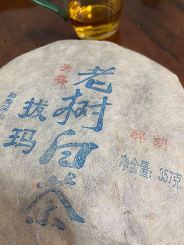 2023年拔瑪老寨古樹春茶口感如何？