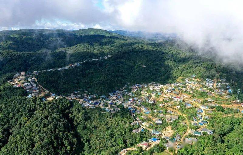 2023年帕沙古樹春茶口感怎么樣？