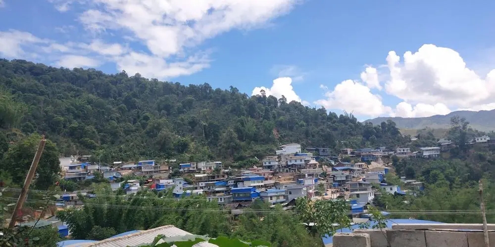 2023年那卡古樹春茶品質(zhì)如何？