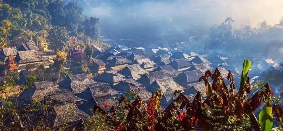 2023年景邁古樹春茶品質(zhì)如何？