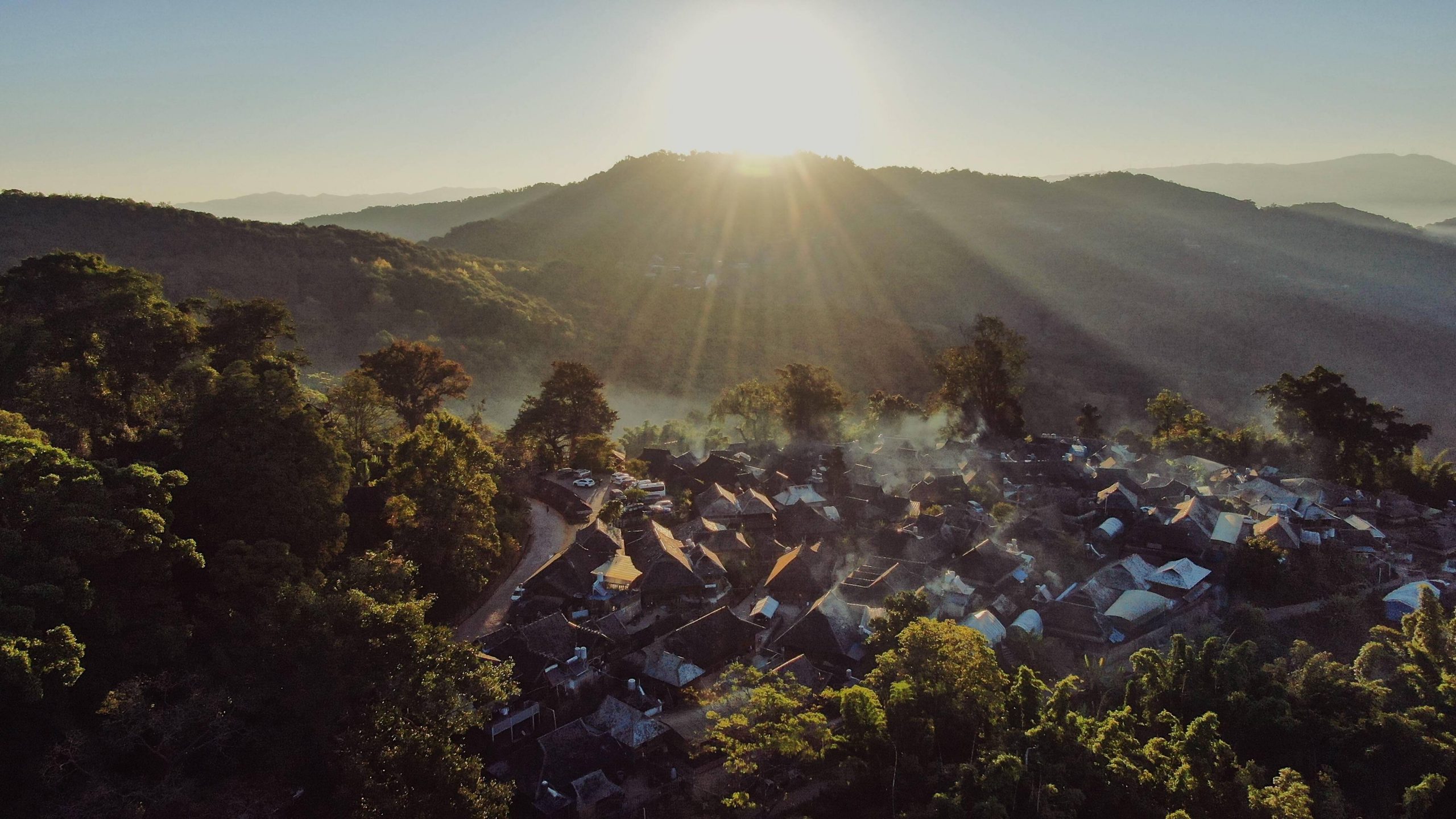 2023年景邁古樹春茶多少錢一公斤？