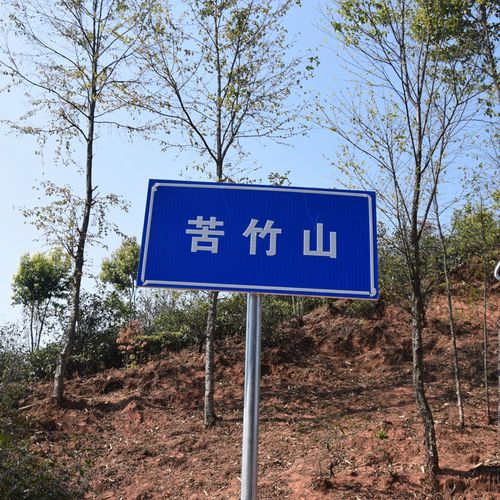 2023年苦竹山古樹春茶品質(zhì)如何？