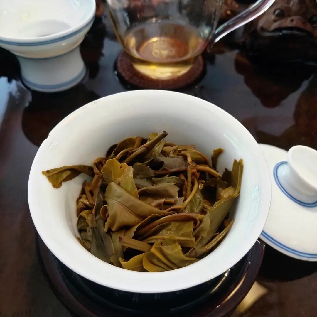 2023年昔歸古樹春茶口感如何？