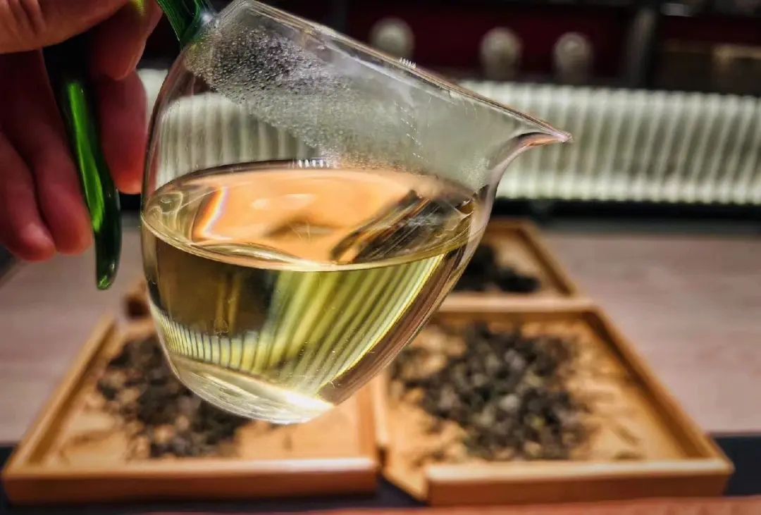 2023年鳳凰窩古樹春茶價(jià)格是多少？