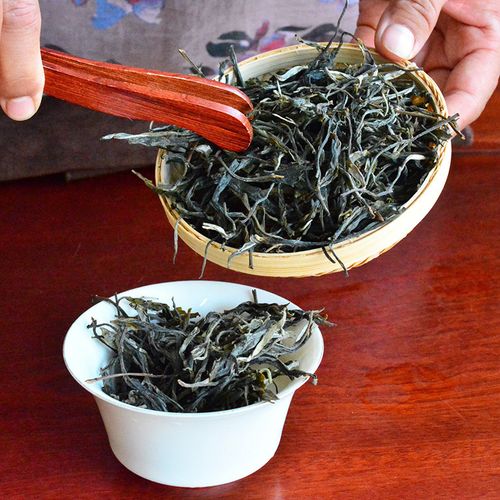 2023年地界古樹春茶口感是什么？