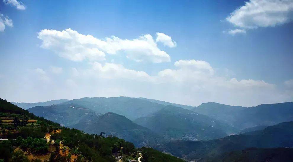 2023年勐庫大忠山古樹春茶價格是多少？