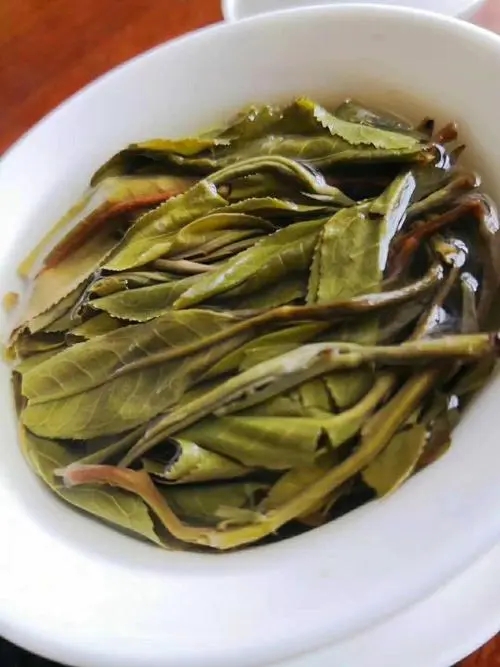 2023年鍋底塘古樹春茶特點是什么？