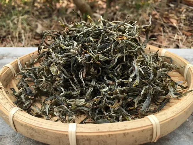 2023年易武張家灣古樹春茶品質(zhì)如何？