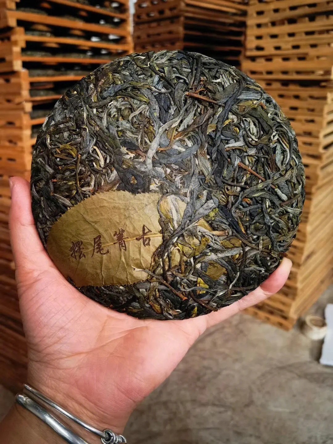 2023年寧洱擺尾箐古樹春茶品質(zhì)怎么樣？