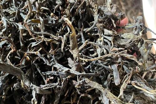 2023年鎮(zhèn)沅老烏山古樹(shù)春茶多少一公斤？