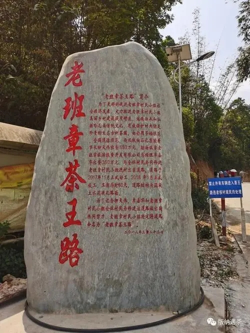 2024年老班章古樹春茶品質如何？