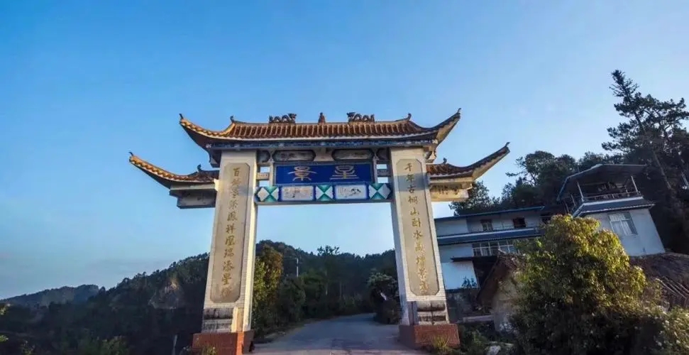 2024年墨江鳳凰窩古樹春茶特點是什么？