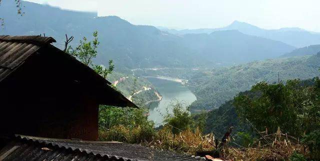 2024年磨烈古樹春茶價格多少？