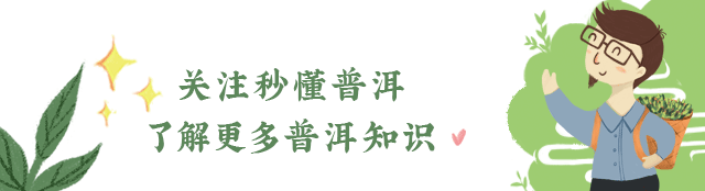 陳財制茶：2024年，茶山真實寫照，最慘的那波人