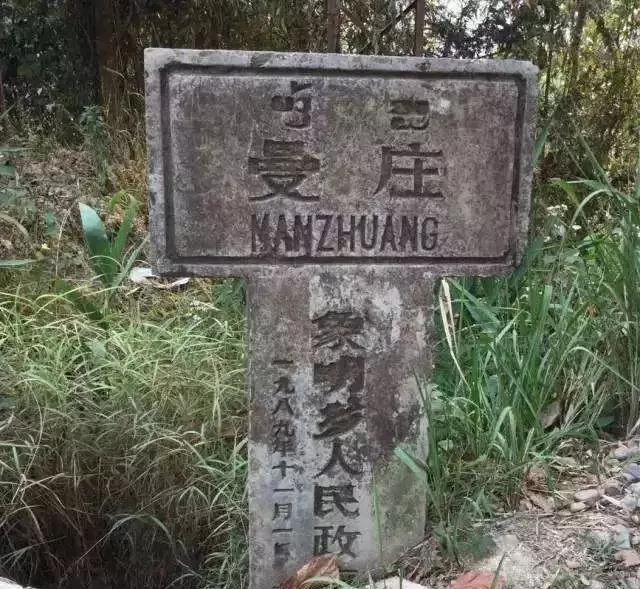 2025年蠻磚古樹(shù)春茶價(jià)格是多少？